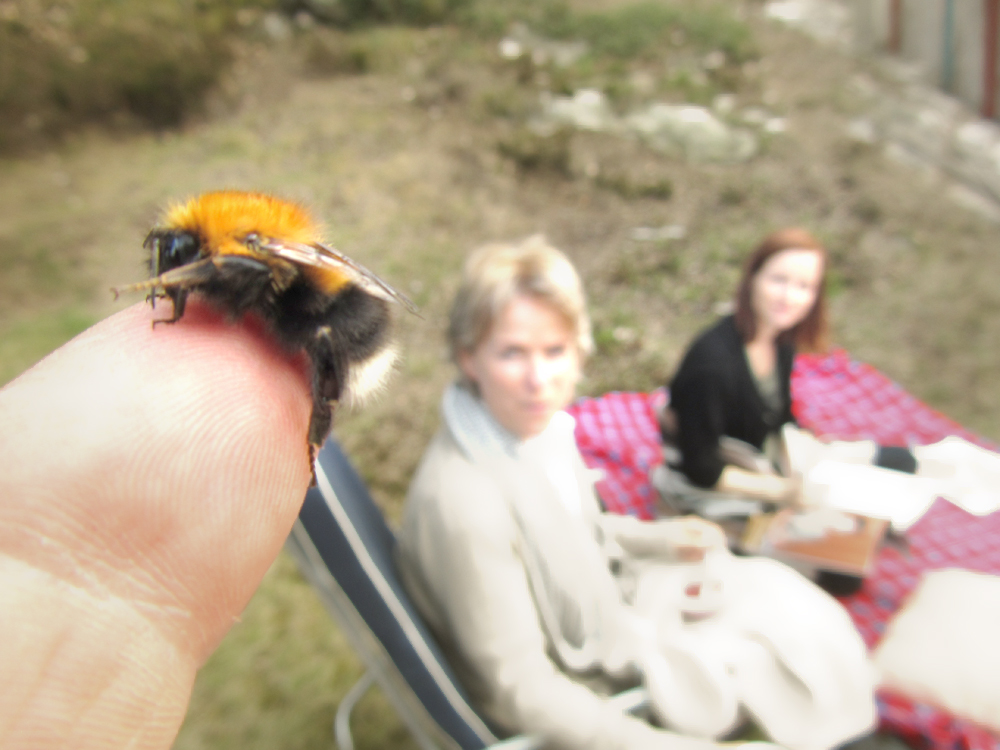 la_humla_suse_tommetanker