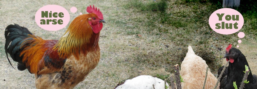 nice_cock2_tommetanker