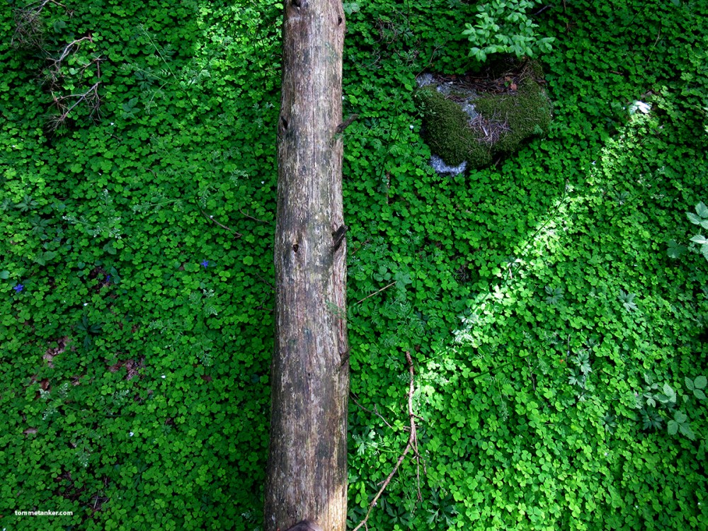 syretrip_tommetanker