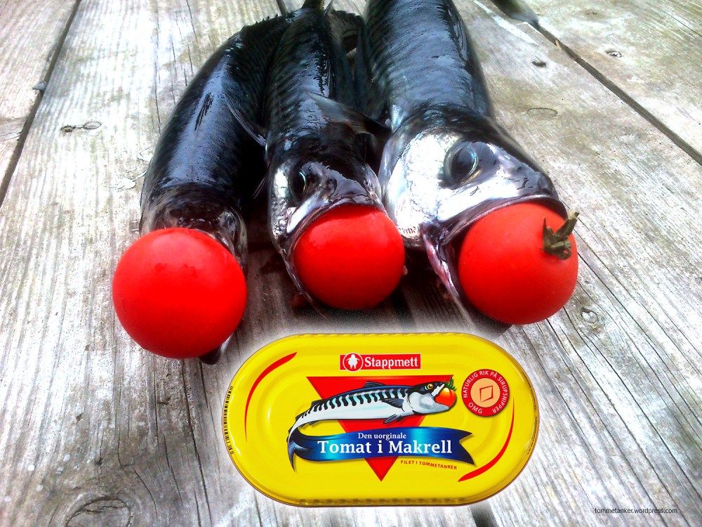 tomat_i_makrell_boks_trippel_tommtanker