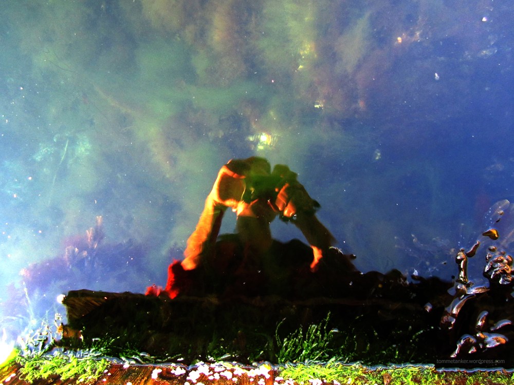 tommspeil_tommetanker