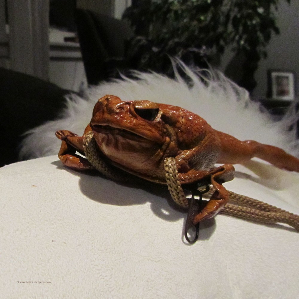 frogbag2_tommetanker