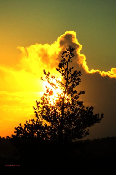 stillhetens_fyrverkeri2_tommetanker