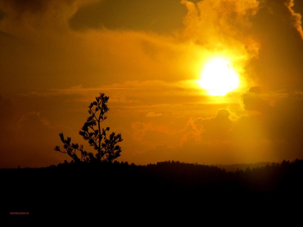 stillhetens_fyrverkeri_tommetanker