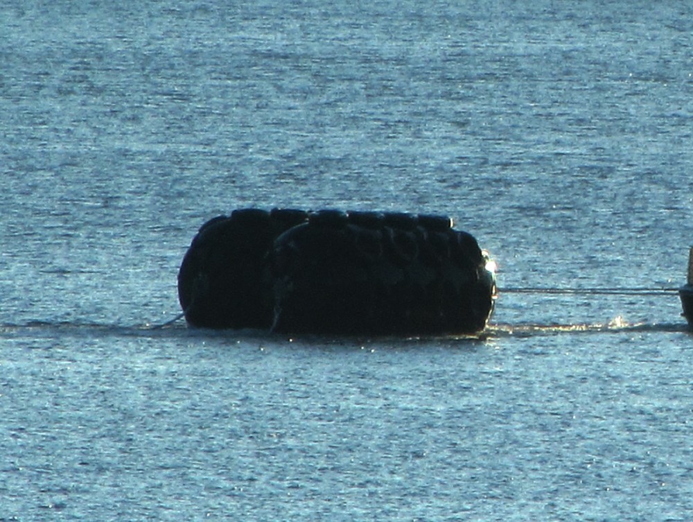 yokohama_fender2_tommetanjer