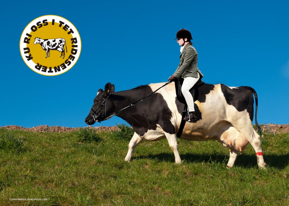 kuriossitet_ridesenter_tommetanker