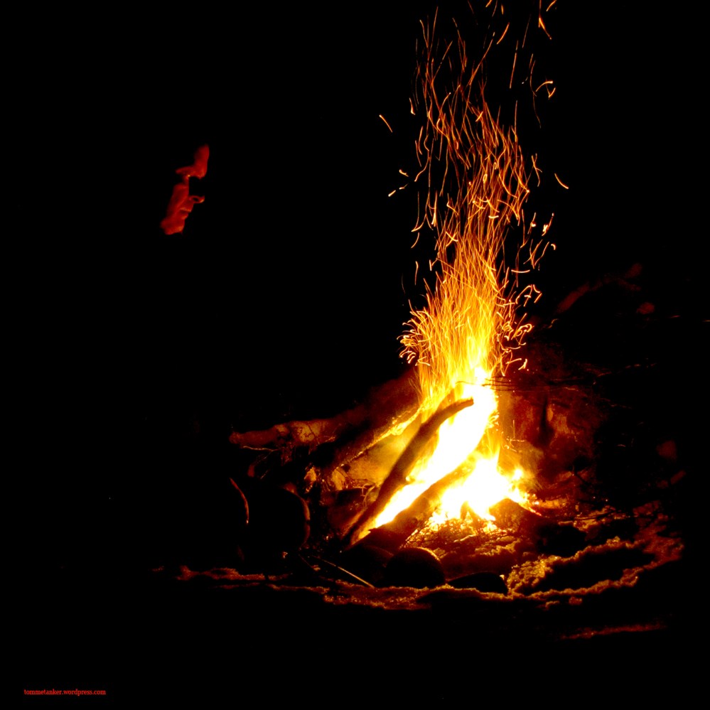 tomme_tanker_tommetanker