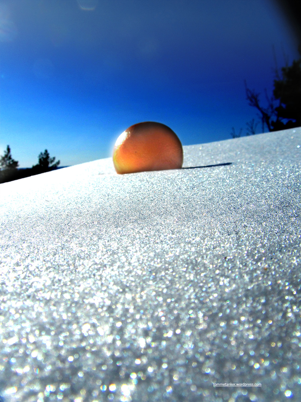 appelsinsol_tommetanker