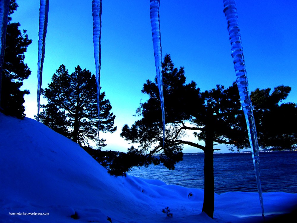 blåfrossen_tommetanker