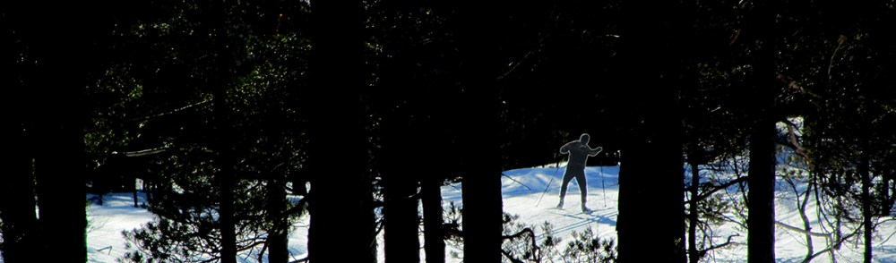 skogspadling_tommetanker