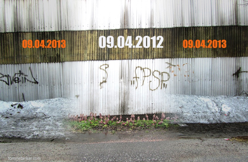 ett_år_siden_tommetanker