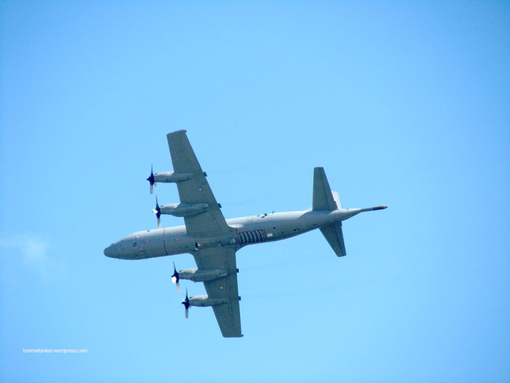 orion_nose_for_things_2_tommetanker