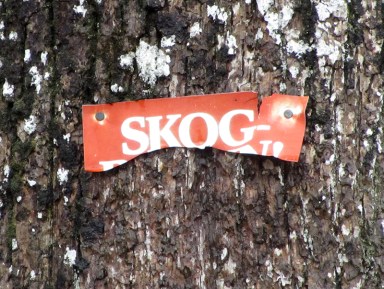 skog2_tommetanker
