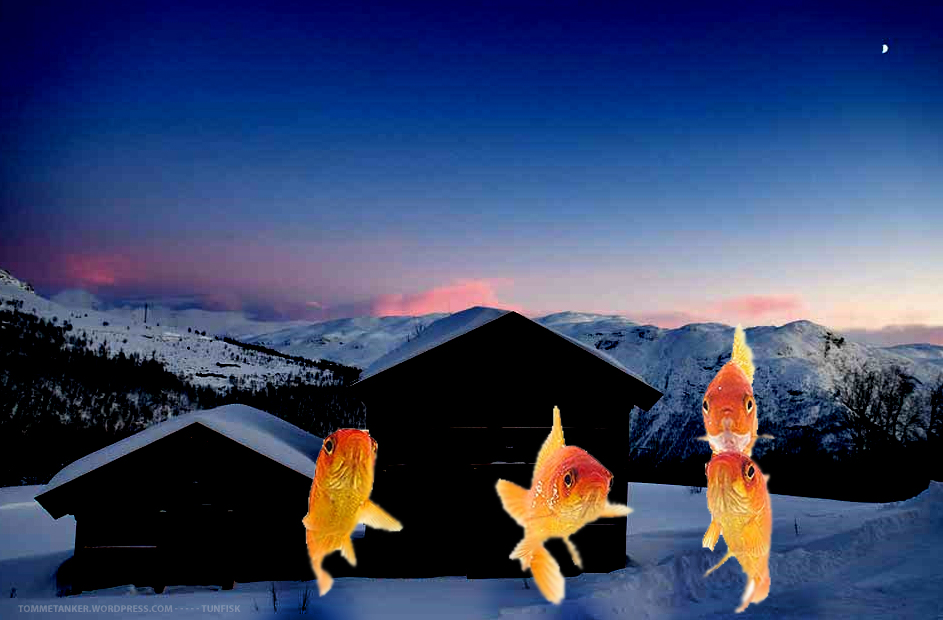 tunfisk2_tommetanker