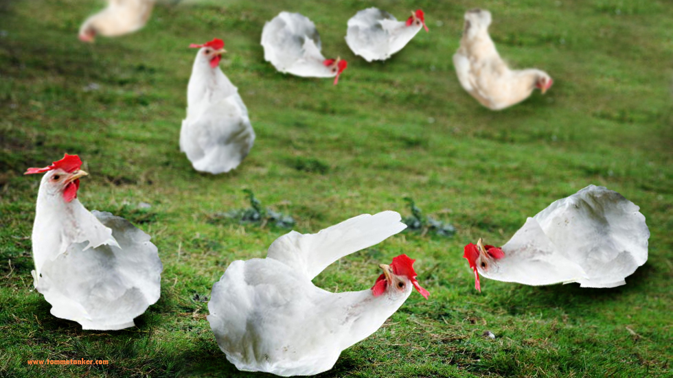 hønseføtter_tommetanker