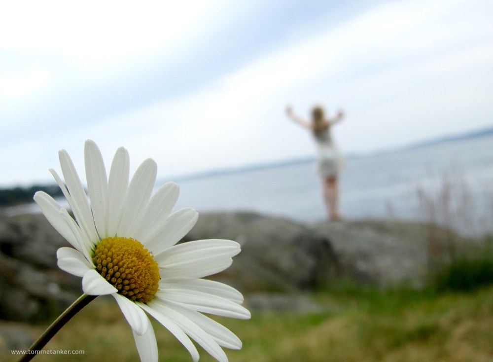 sommerblomsten_ingeborg_tommetanker