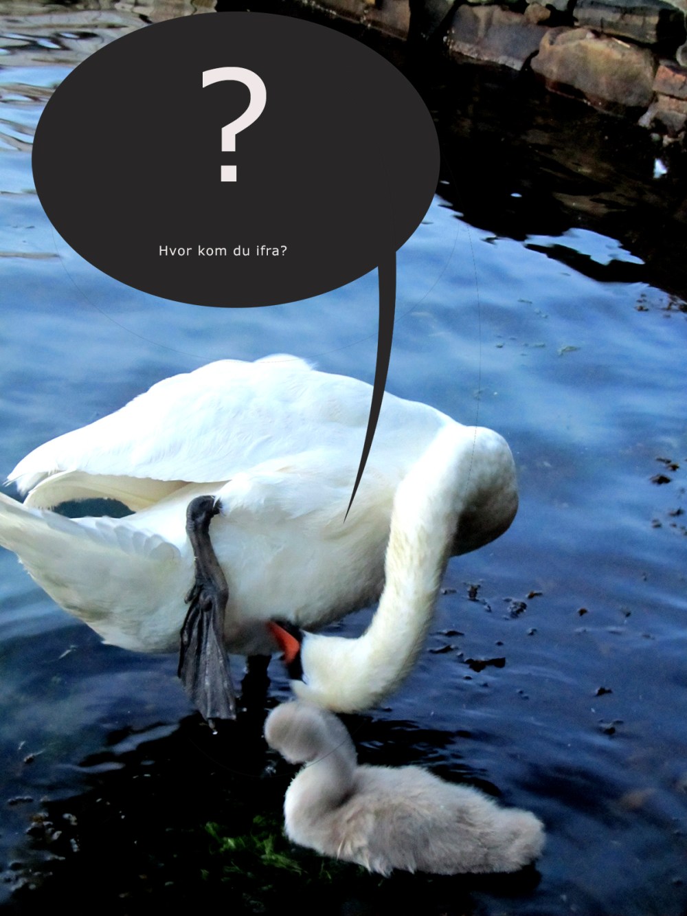 svanemor_tommetanker