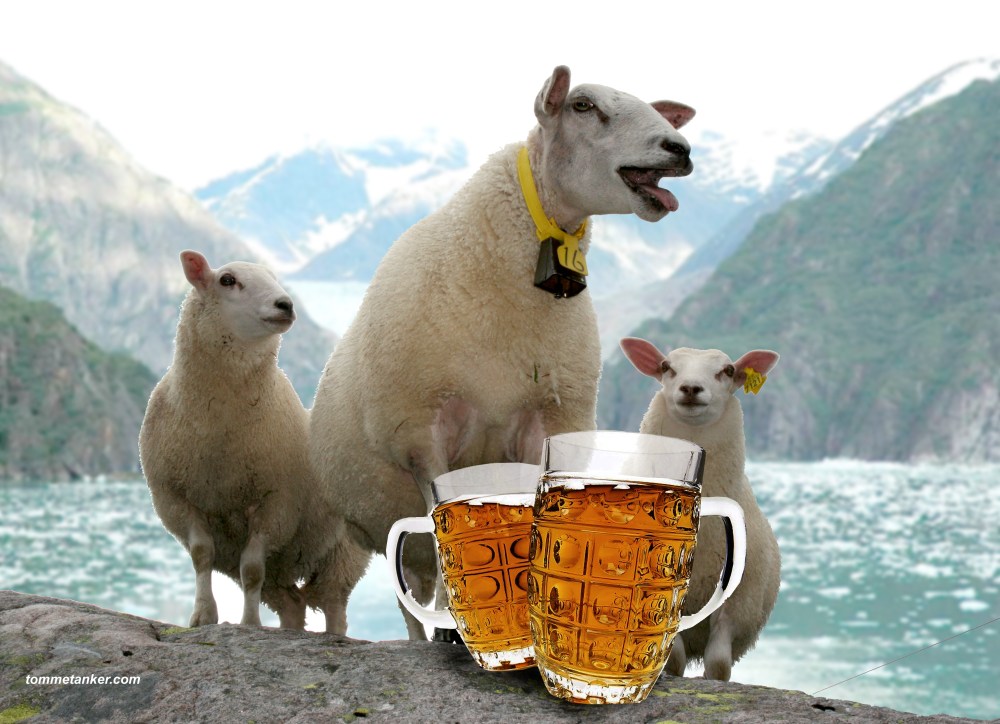 fåriøl_tommetanker