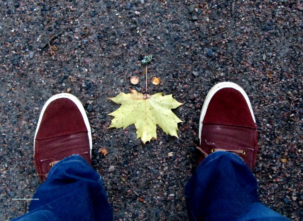 plutselig_høst_tommetanker