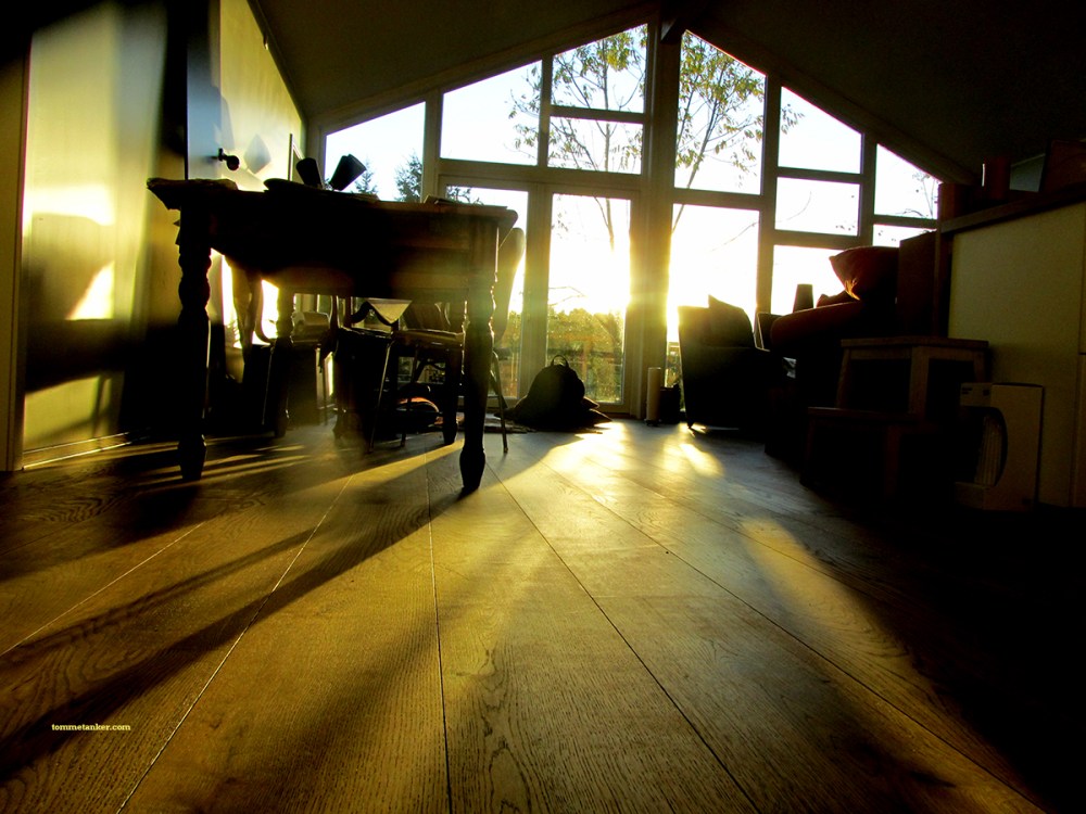 sol_i_stue_tommetanker