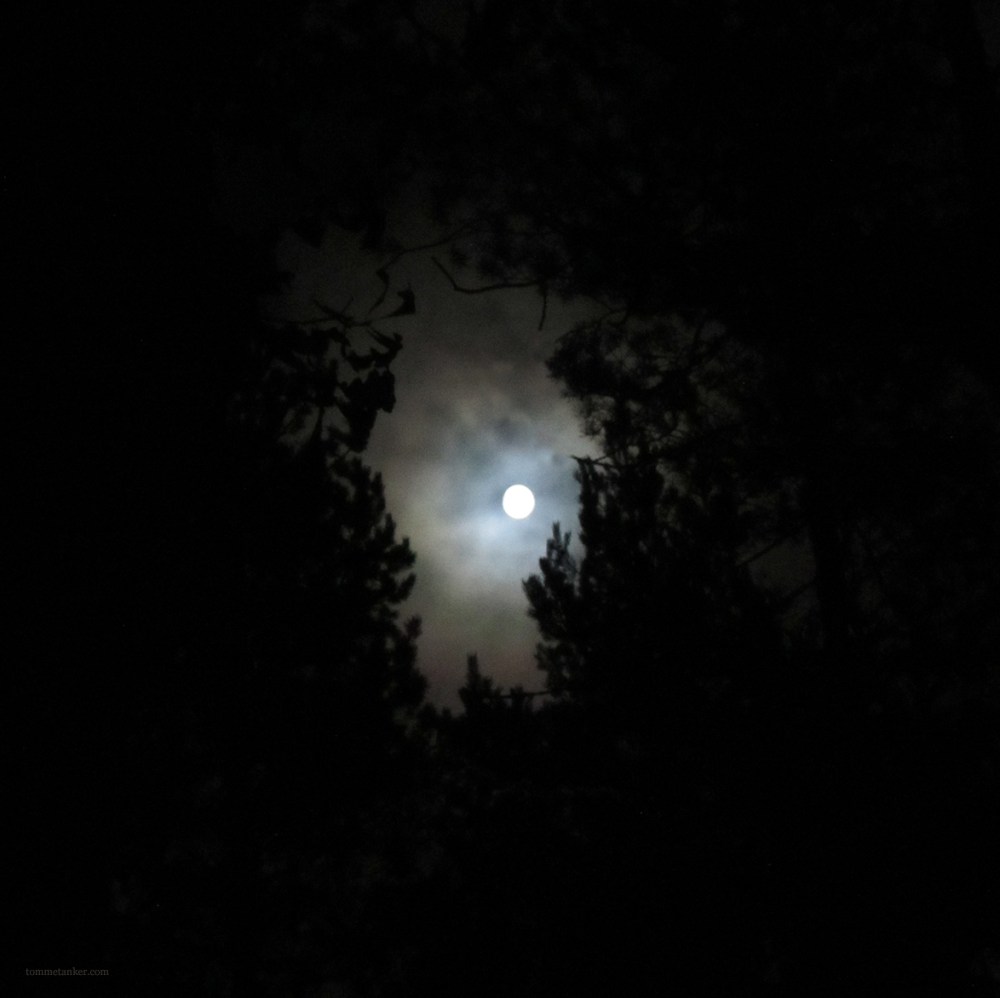 fullmoon_tommetanker