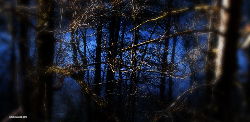 lys_blått_skog_tommetanker