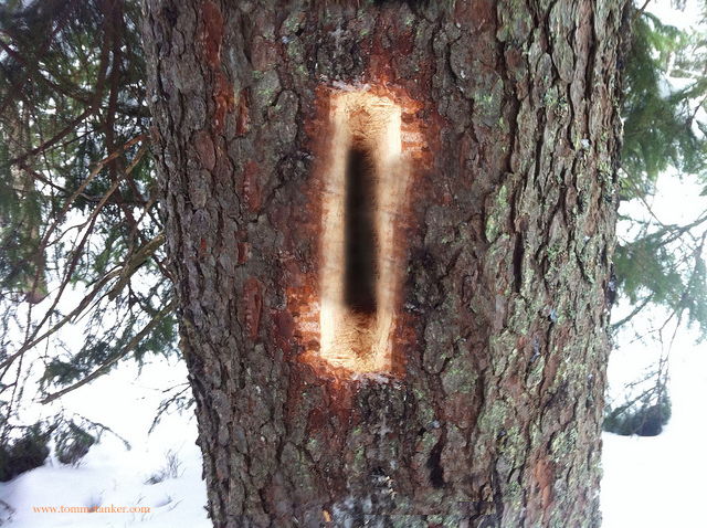 rødspettehull_tommetanker