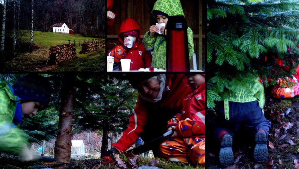 juletrejakta_tommetanker