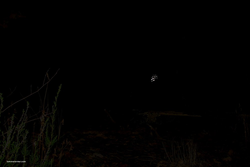 morildgjemsel_tommetanker