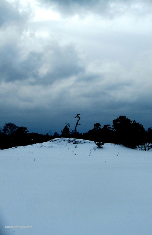 naspeørnen_2_tommetanker