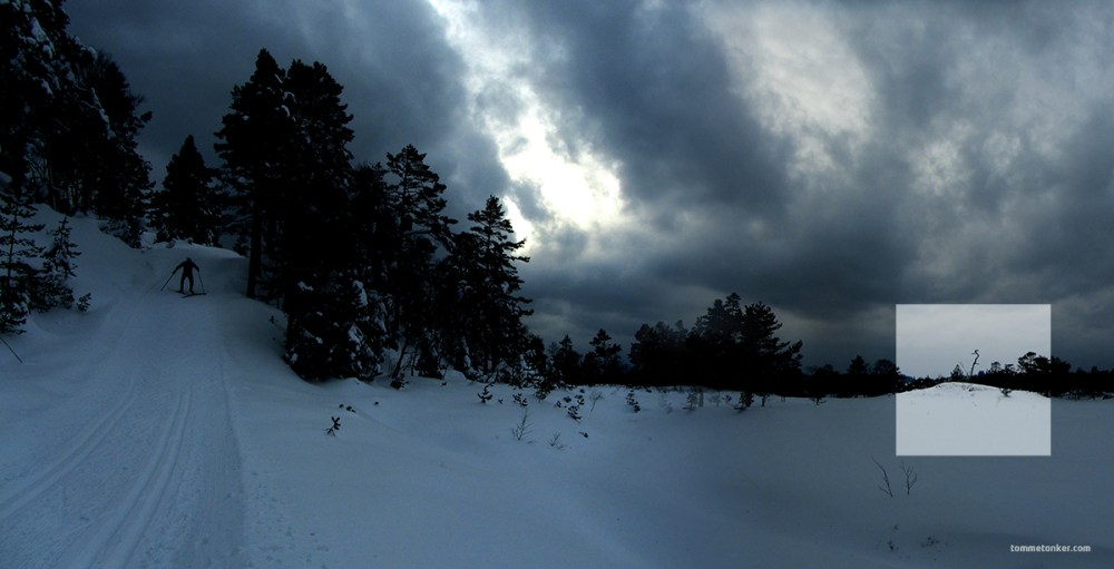 naspeørnen_tommetanker