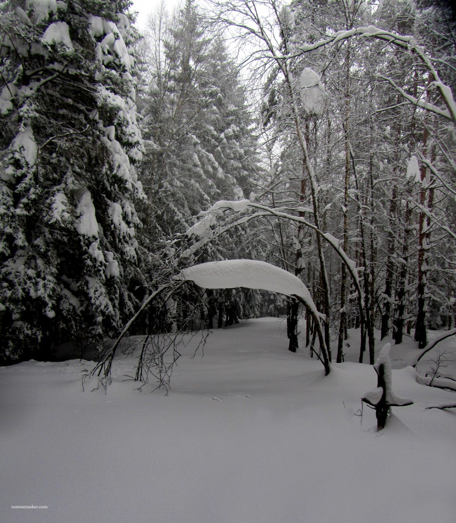 nypreparert_tommetanker.