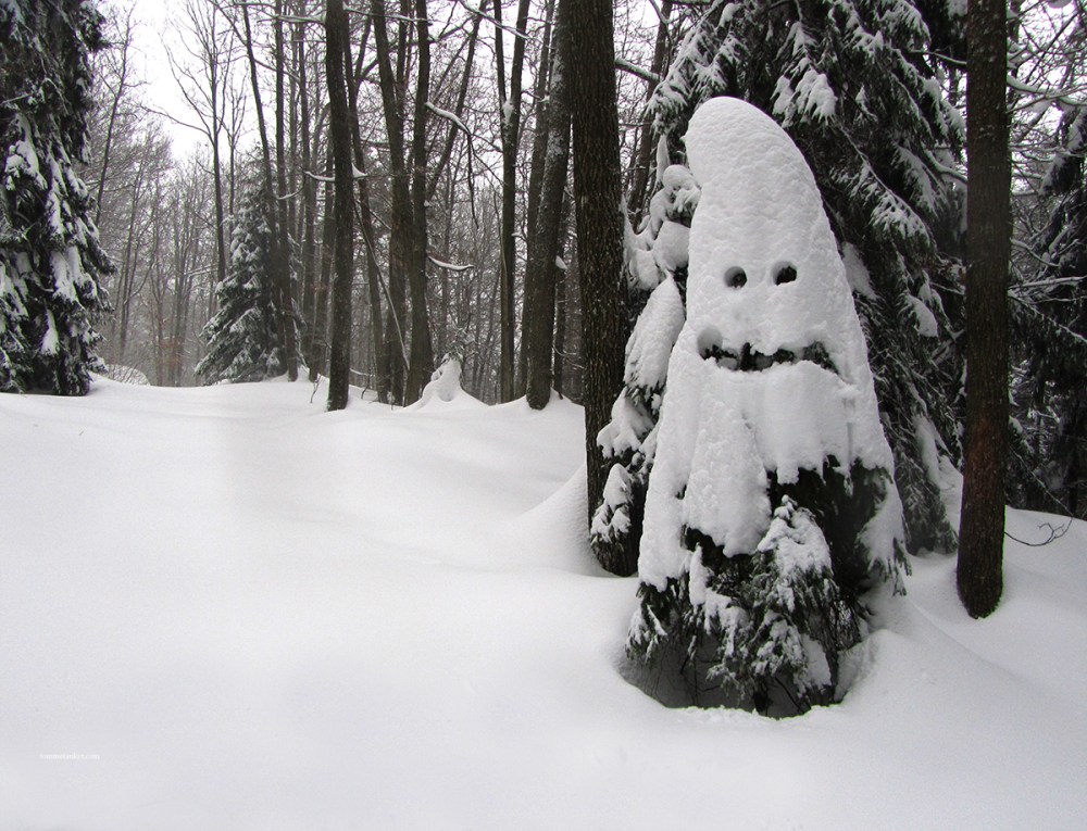 preppemannskap_tommetanker