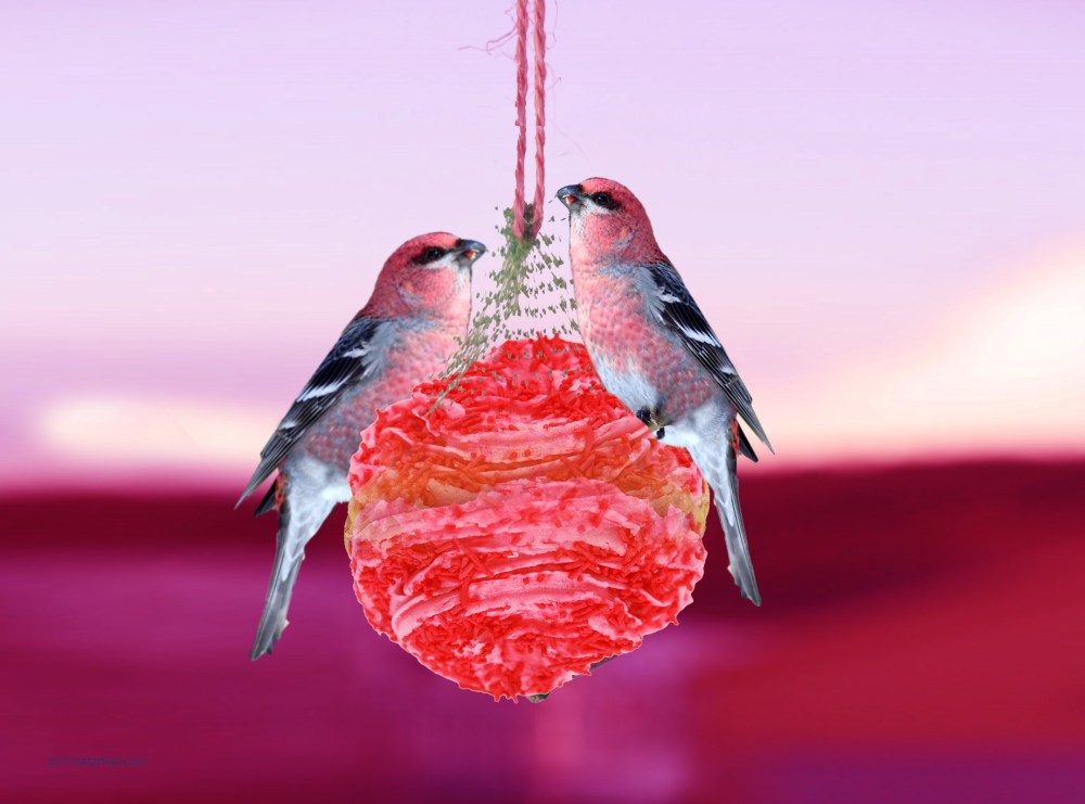 rosabloggmeisene_tommetanker