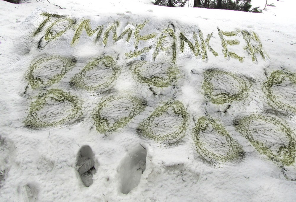 tissetrengt_1_tommetanker