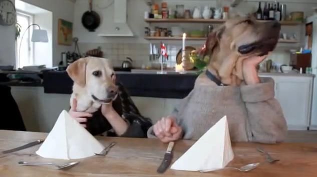 dogs_eating_human_hands