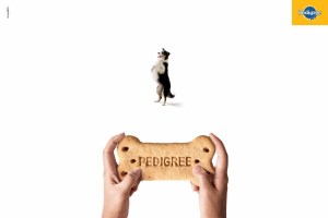 pedigree_joystick