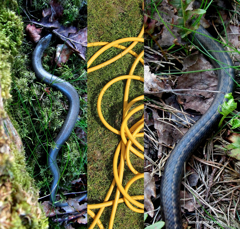 tre_slanger_tommetanker