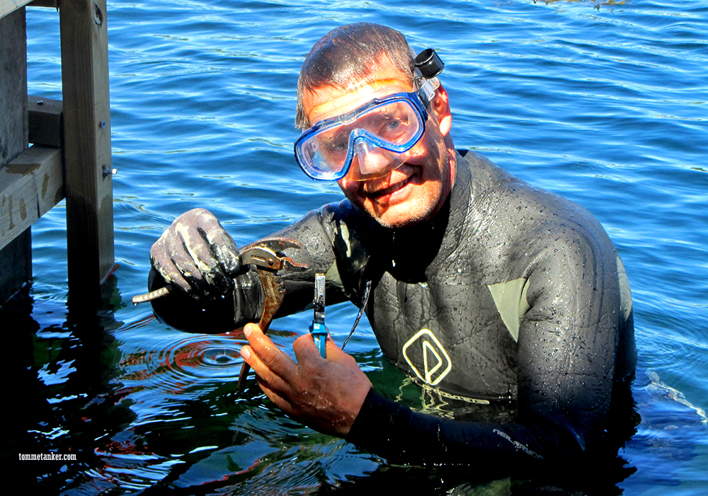 tenger_i_tanga_tommetanker