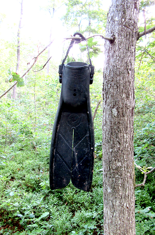 svømmefot_tommetanker