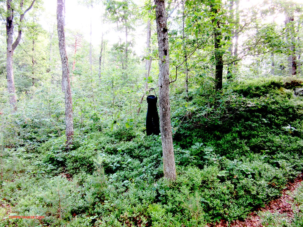 svømmefot_twin_peaks_tommetanker