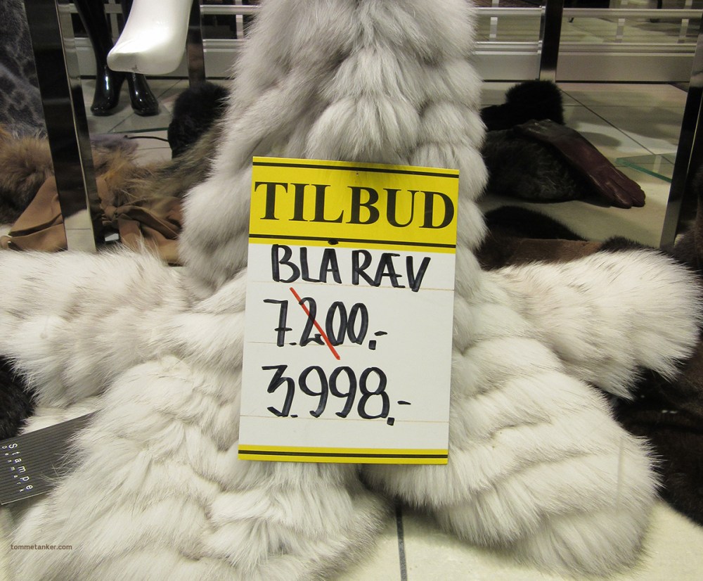 blå_ræv_tommetanker