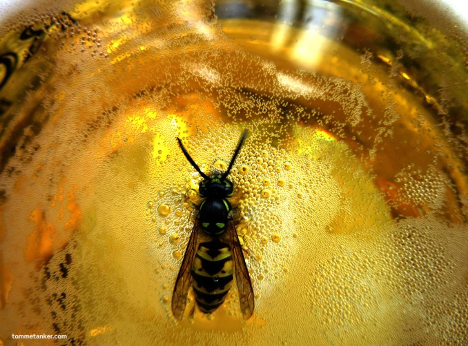 vepsevalsen_tommetanker