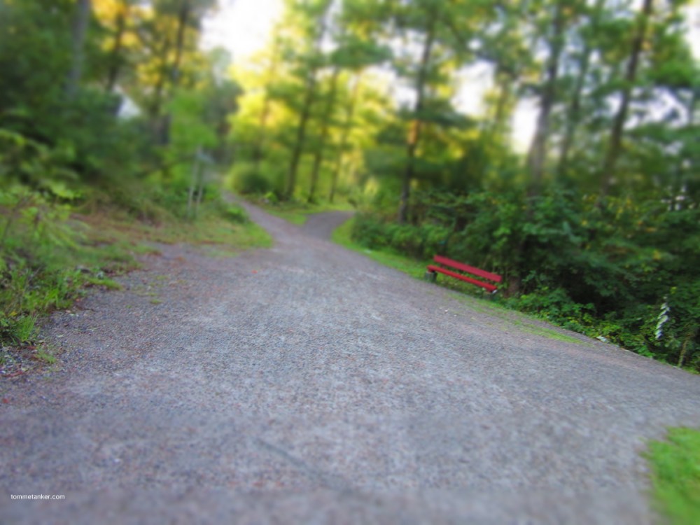 sitt_ned_litegrann_tommetanker