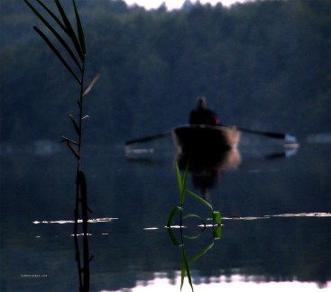 skogens_ro_tommetanker