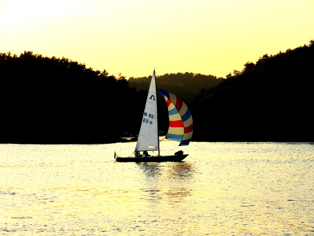 sommersløv_tommetanker