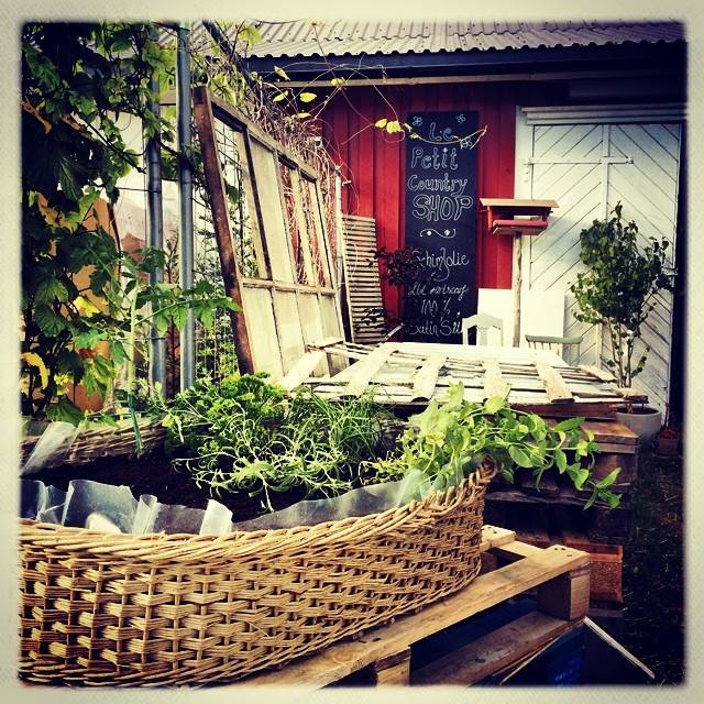 le petite country shop