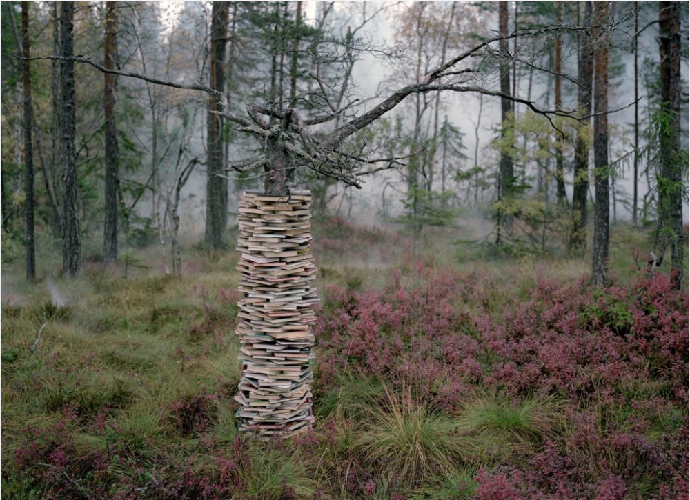 rune_guneriussen_photo