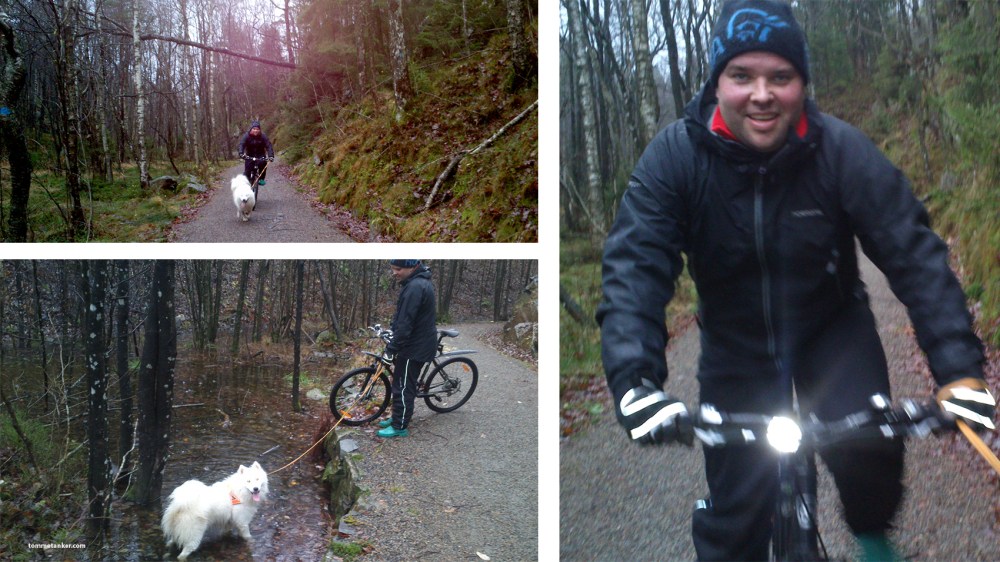 stian_odin_tommetanker