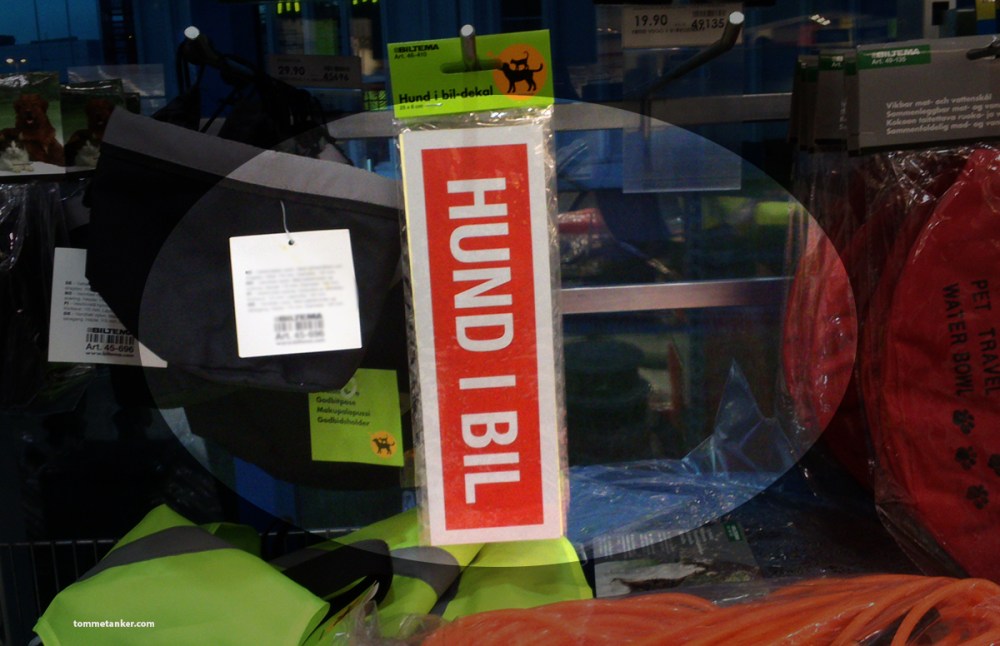 hund_i_bil_tommetanker